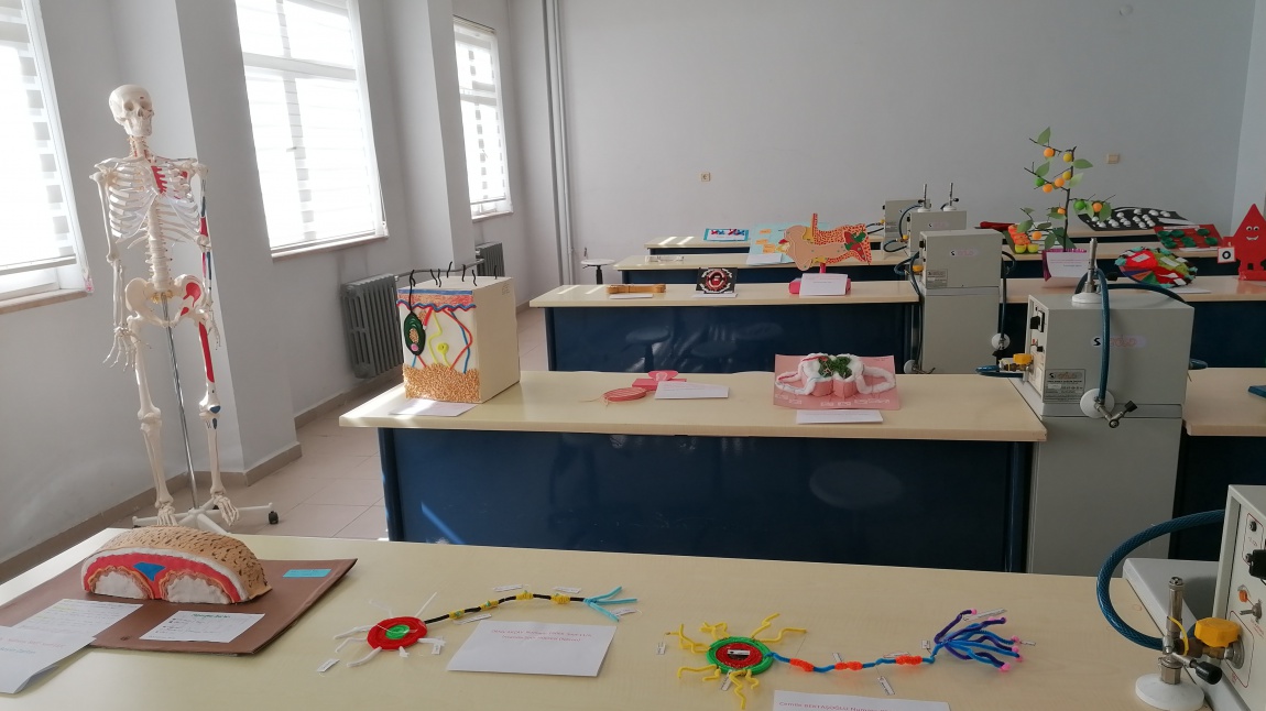 2020-2021  Eğitim-Öğretim Yılı Yavuz Sultan Selim Anadolu Lisesi Biyoloji Sergisi